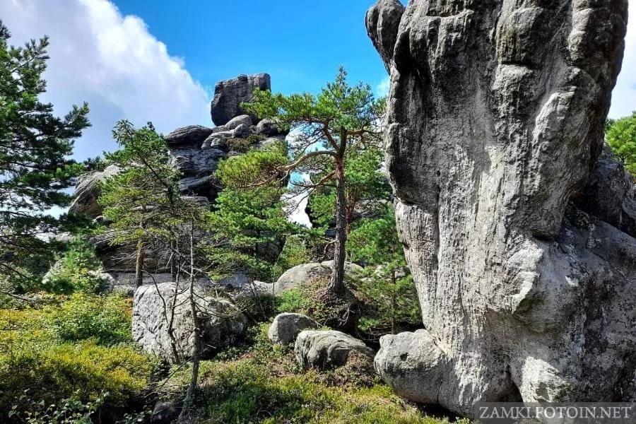 Pokoje U Filipa Кудова-Здруй Екстер'єр фото